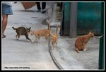 IMG_8978