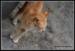 IMG_8982
