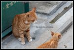 IMG_8983