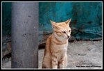 IMG_8984