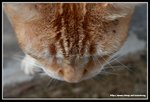 IMG_9006