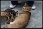 IMG_9011