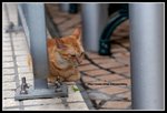 IMG_9017