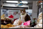IMG_9024