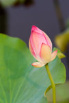 IMGP5997