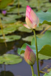 IMGP6019