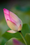 IMGP6022