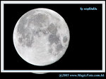 2005Mid-AutumnFestival