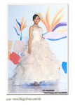 wedd-9218