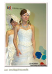 wedd-9238
