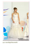 wedd-9244