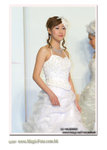 wedd-9245