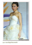 wedd-9291