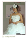 wedd-9295