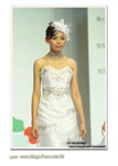 wedd-9377