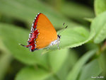 DSCN9951