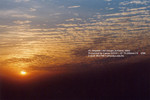 EOS33_1268