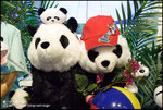 EOS20D_OceanPark_0607_007