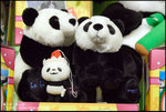 EOS20D_OceanPark_0607_012