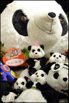EOS20D_OceanPark_0607_013