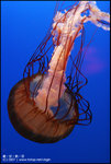 EOS20D_OceanPark_0607_050