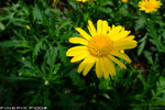 DSCF0030a