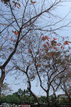 DSCF0035a