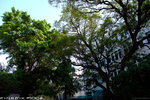 DSCF0070a