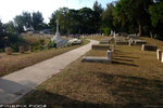 DSCF0079a