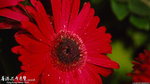 P3152214a