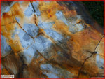 PC245109a