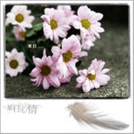 photo1