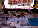 CRW_9769a copy