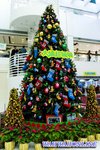 CRW_9537a