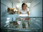 食物安全宣傳片