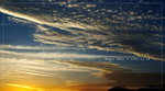 2006-11-26 �U�� 05-31-04_0098