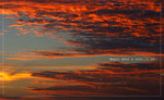 2006-11-26 �U�� 05-50-13_0110