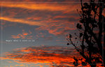 2006-11-26 �U�� 05-50-56_0112