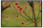 YCW_1670