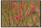 YCW_1674
