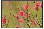 YCW_1675