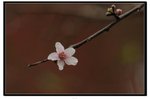 YCW_1677