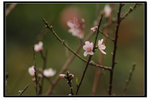 YCW_1679