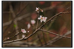 YCW_1680