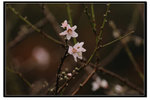YCW_1684