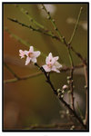 YCW_1687