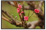 YCW_1690