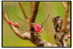 YCW_1694