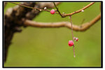 YCW_1697