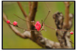 YCW_1698